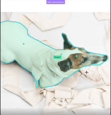 𝗦𝗔𝗠_𝘄𝗼𝗿𝗸𝘀_𝗯𝗿𝗶𝗹𝗹𝗶𝗮𝗻𝘁𝗹𝘆